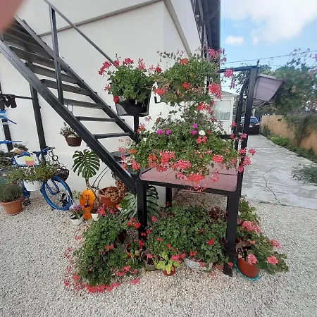 Gasthuis Casa Octavia