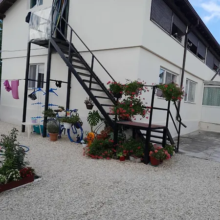 Casa Octavia Schitu