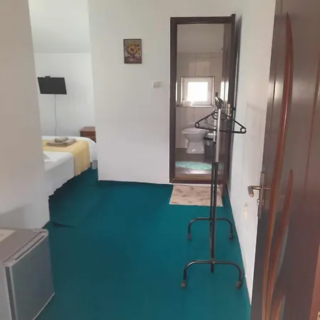 Casa Octavia Schitu
