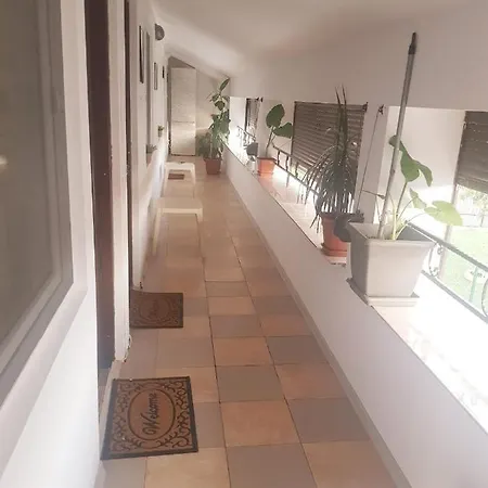 Casa Octavia Guest house Schitu