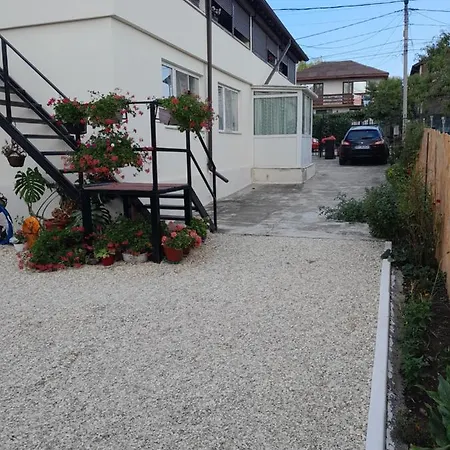Casa Octavia Guest house Schitu