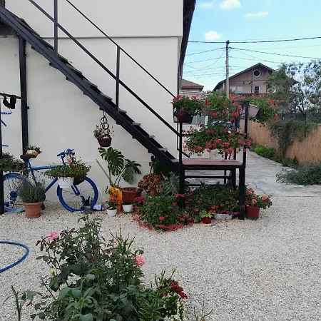 Casa Octavia Guest house