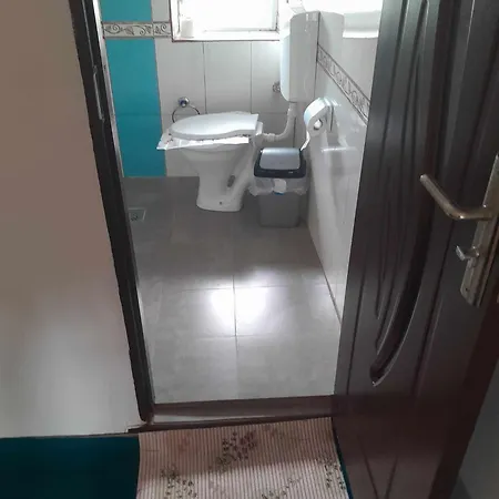 Pensionat Casa Octavia Schitu