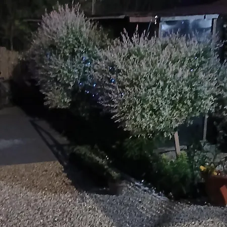 Casa Octavia Guest house Schitu